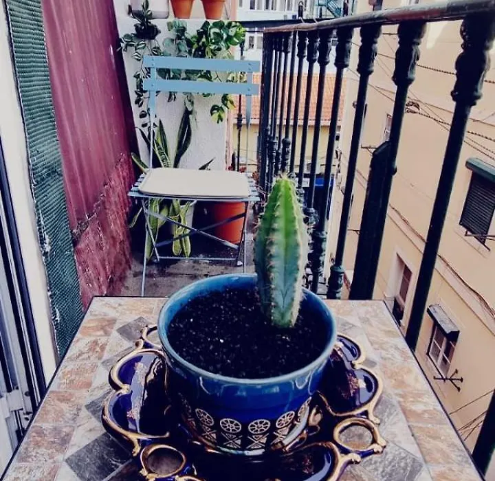 Charming Central Apartment To Rent-1