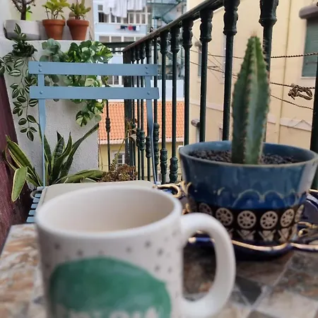 Charming Central Apartment To Rent-2
